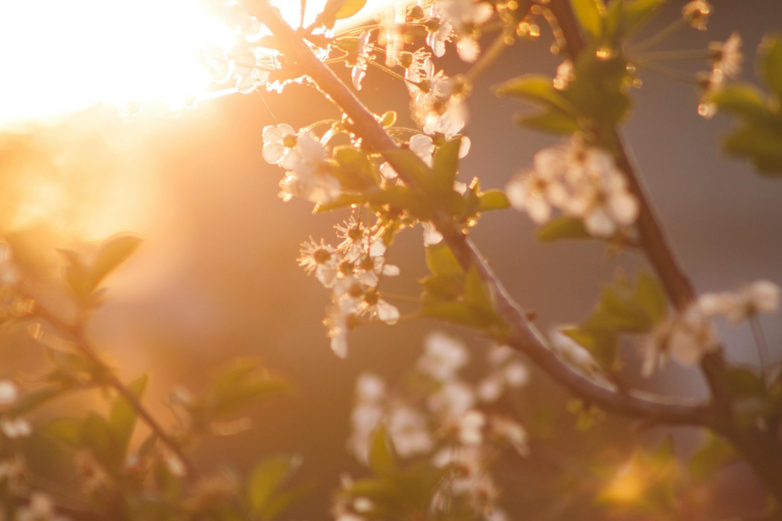 A Spring Letter: Just Suddenly, I Felt Like writing… for a Friend